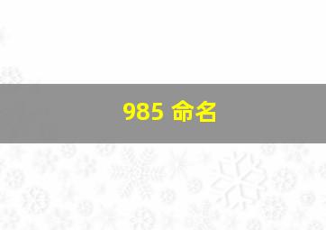 985 命名